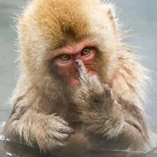 JASA PROMOSI (klik disini) thumbnail