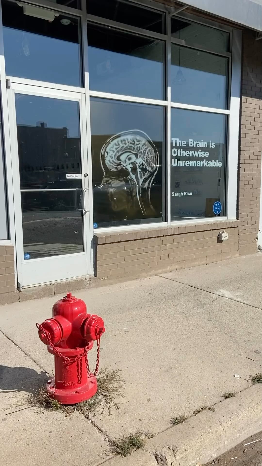 OPEN HOURS!! 

The Brain Is Otherwise Unremarkable 

Saturdays in October, 12-3pm

Artist talk Saturday October 19th at 