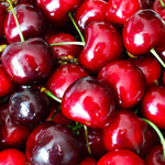 Traverse City Area U-Pick Cherry Orchards thumbnail