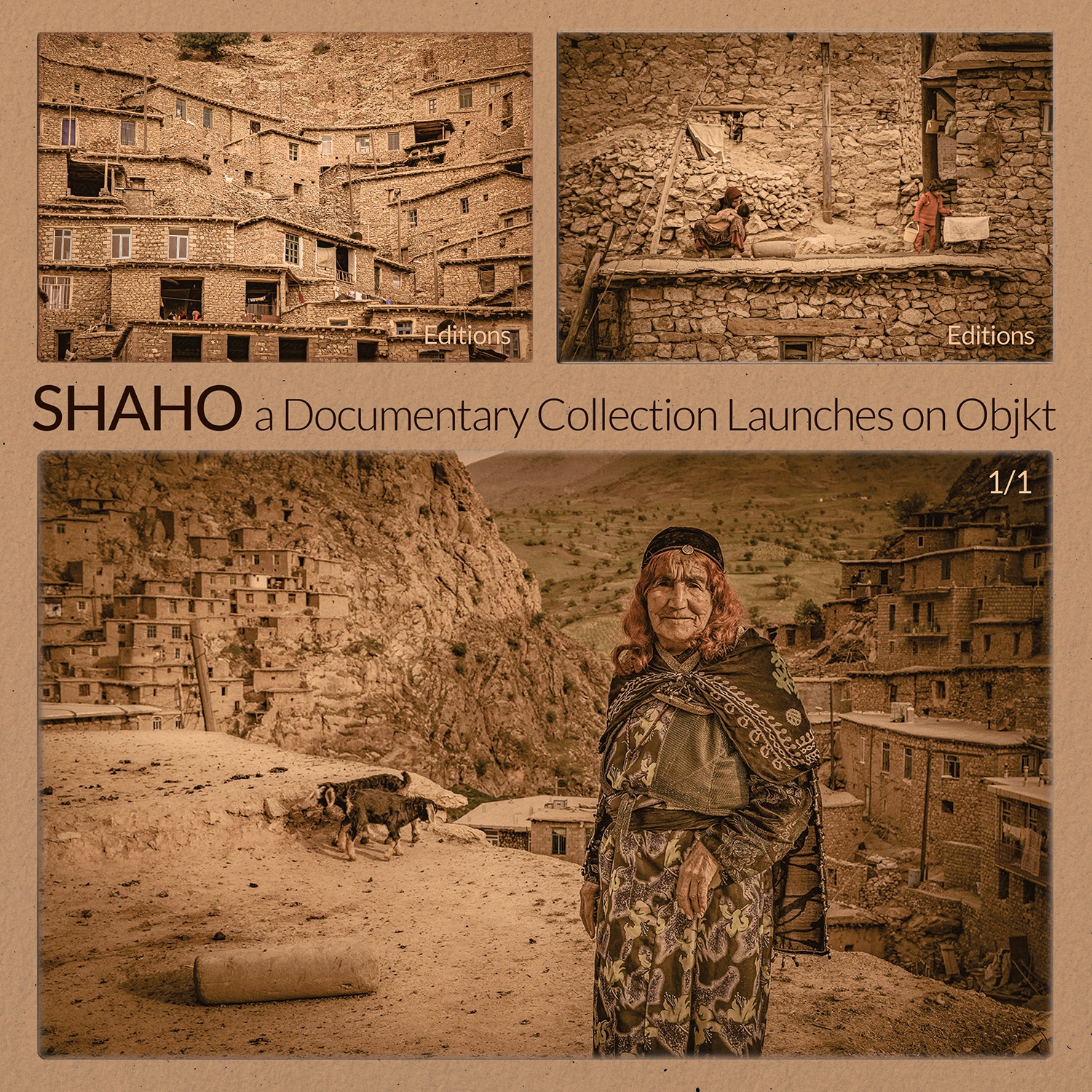 Shaho  (Life Style) | objkt.com thumbnail