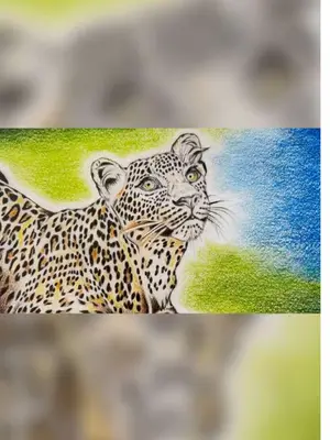 Pencil drawings of animals printed on A4 smooth matte paper. ????✍️?️? #art #artprints #animalart #drawings #animals 