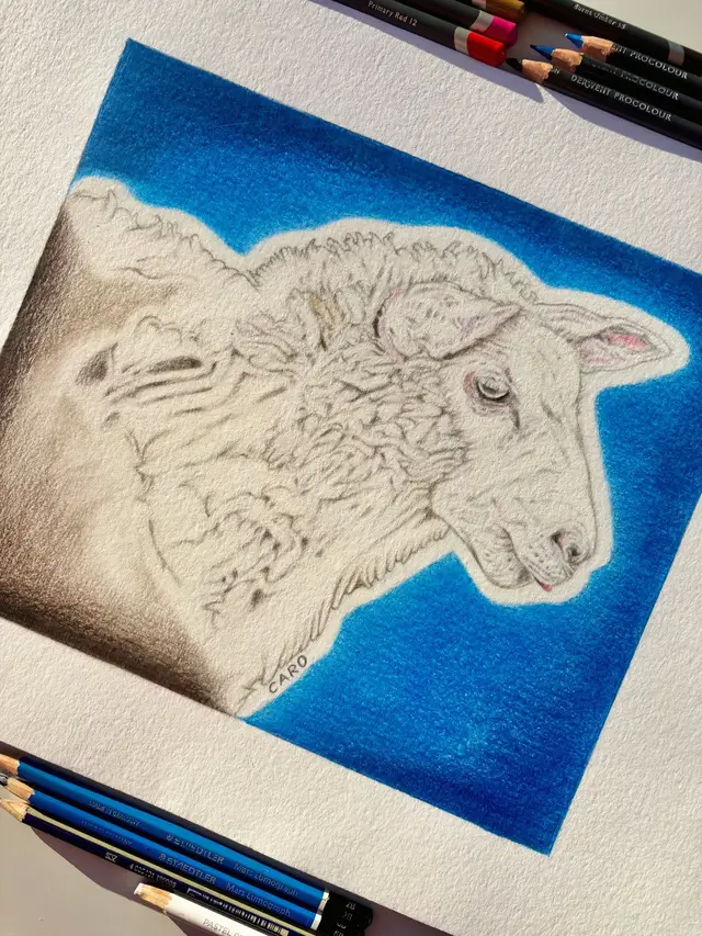 Graphite, coloured pencils and pastel on 300gsm mixed media paper. Made in 2025. 🐑 ✍️🖼️ #sheep #art #animalart #pencildr
