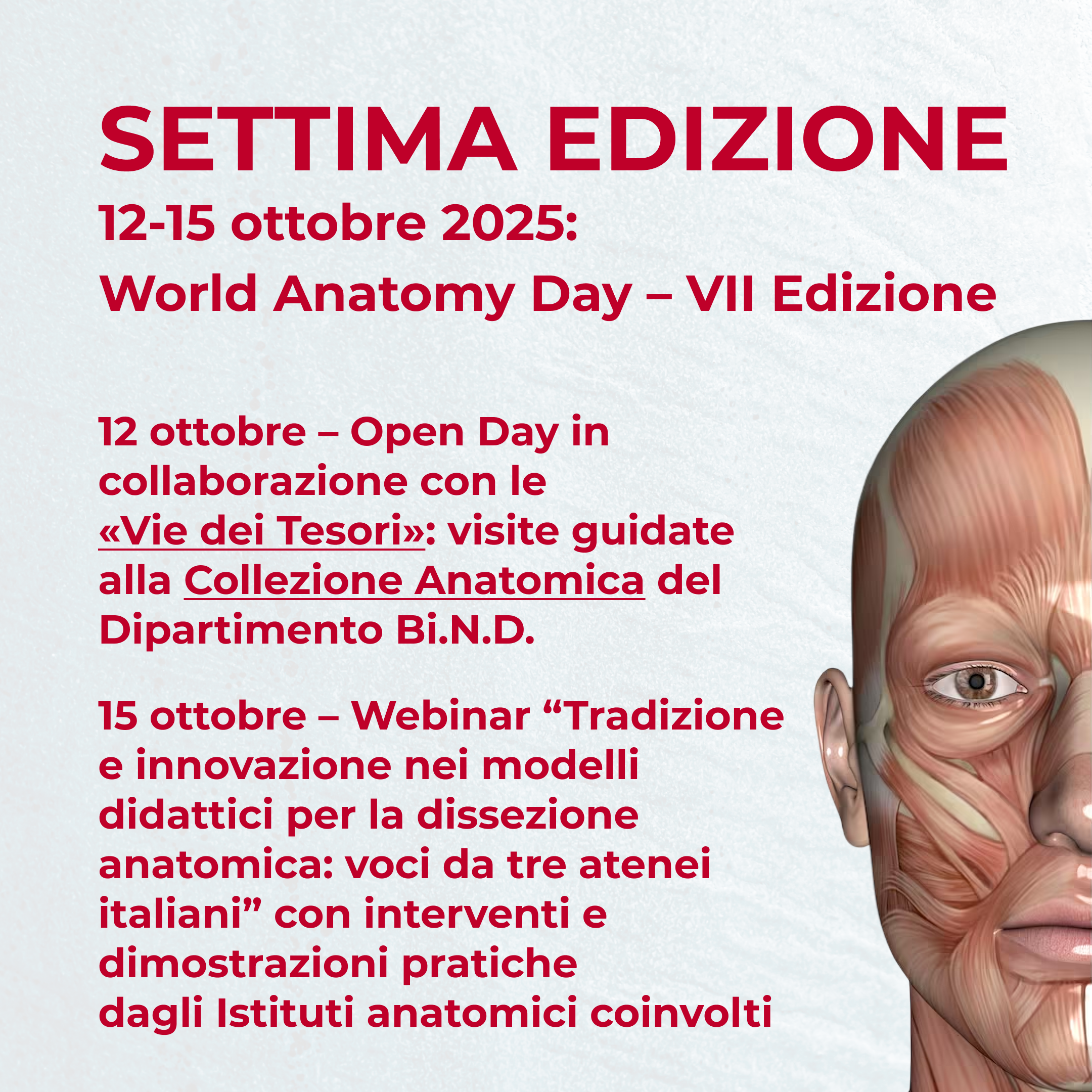 World Anatomy Day – VII Edizione  thumbnail
