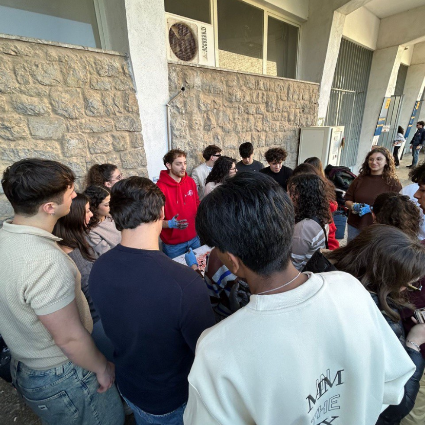 Tutorato Dissezione Matricole  thumbnail