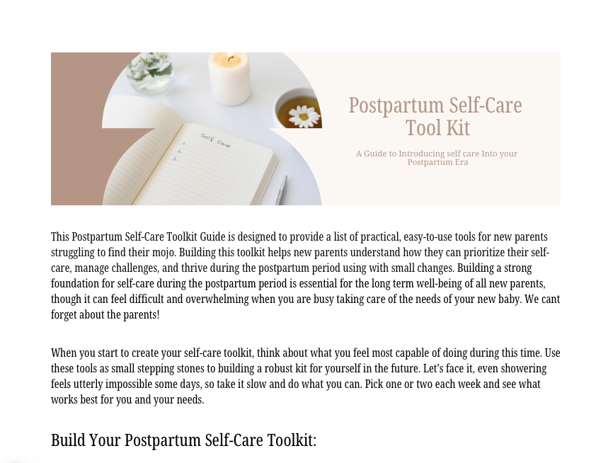 The Postpartum Self-Care Toolkit thumbnail