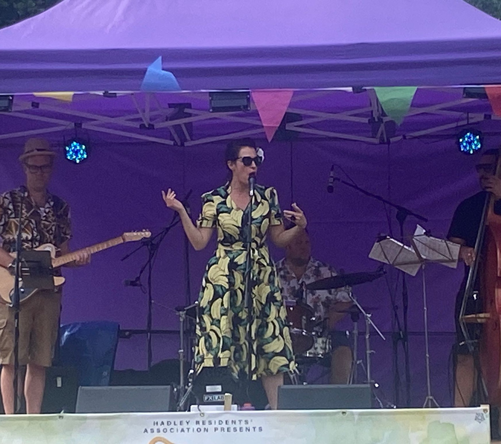The Lanaland Band- family party band thumbnail
