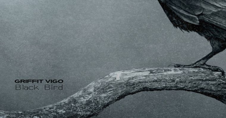 Griffit Vigo - Black Bird thumbnail