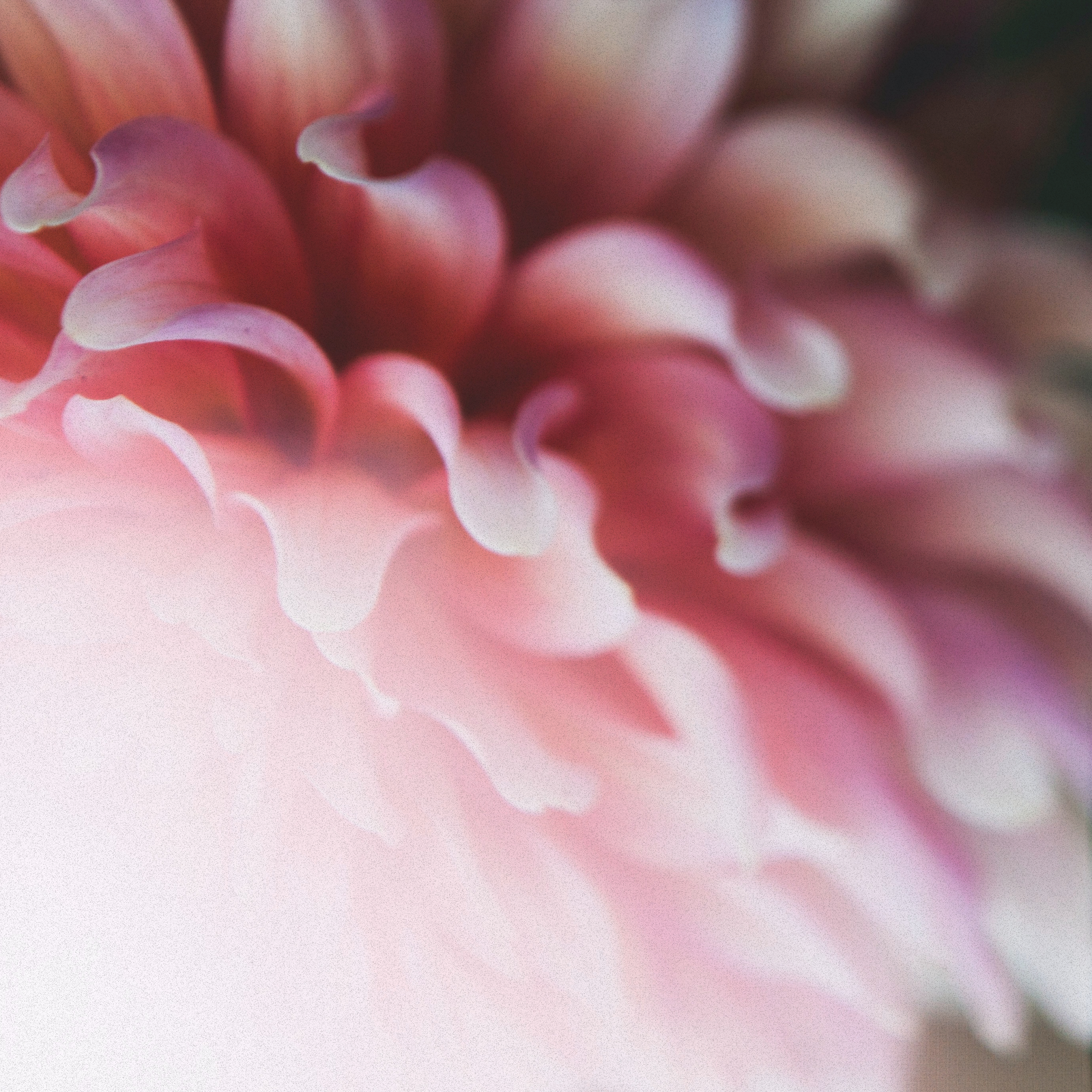 Gift Cards thumbnail