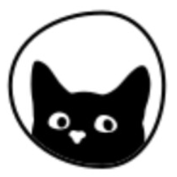 Social Cat | Creators | thenewestenglander thumbnail