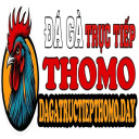 @dagatructiepthomoday · ĐÁ GÀ TRỰC TIẾP thumbnail