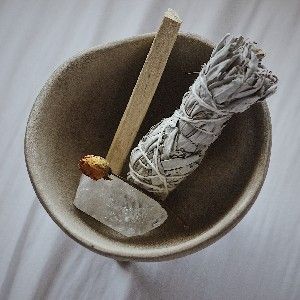 Wild & Well Blog thumbnail