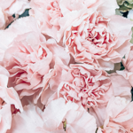 Join me on Pinterest  thumbnail