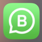 Whatsapp tire dúvidas  thumbnail