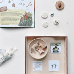 Montessori Kurs Überblick thumbnail