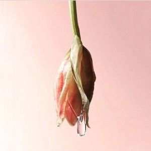 Manual: vapores vaginales  thumbnail