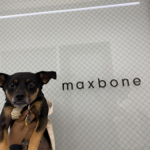 Maxbone: use code PUPSICLE15 for 15% OFF 🐾 thumbnail