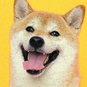 BioSite profile picture for @butters