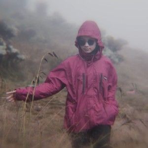 DEWI thumbnail