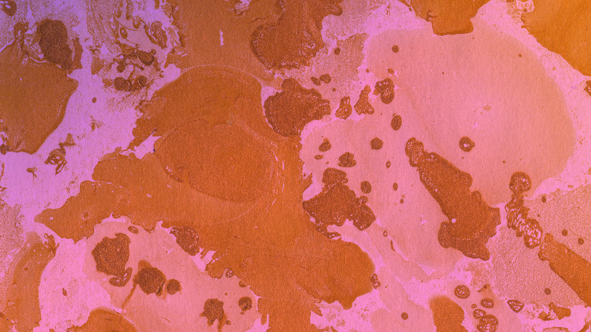 BioSite banner for @junk