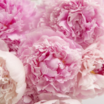 Tu veux rejoindre l'equipe? thumbnail