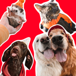 Our YouTube Channel thumbnail