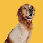 Kiko's cancer journey thumbnail
