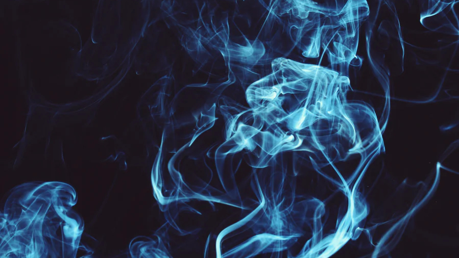 BioSite banner for @nelly