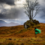 Wedding + Elopement Photography thumbnail