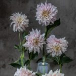 Vinetta Flower Gallery thumbnail
